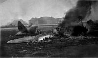 MUS1002421.jpg