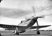 ALB971531021.jpg