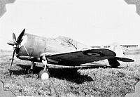 ALB1919010023.JPG