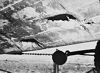 LbG412-52_1_1_1.JPG