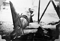 ALB1919010083.JPG
