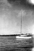 ALB2604117057.jpg