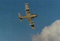 MUS0800131.jpg