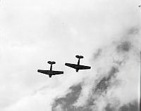 WhG5228-53_1.JPG