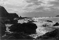 ALB933371020.jpg
