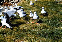 2013-227.1025.jpg