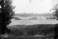 ALB845871a013.jpg