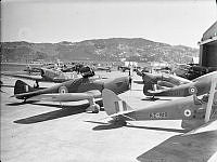 PR4197.jpg