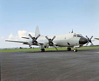 Ak3554-96.JPG
