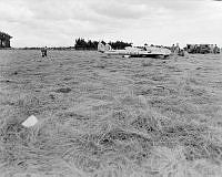 OhG9694-60.JPG