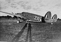 MUS0602411.jpg