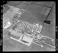 GisG917-A196.JPG