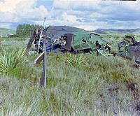 Oh1328-3-95.JPG