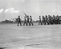 WhG553-30-81.jpg