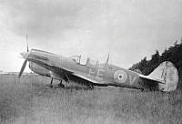 DWNZ3246.jpg