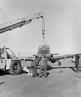 OhG1882-82.JPG