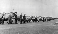 ALB10344119003.jpg