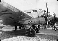 ALB933371010.jpg