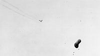 ALB920382b036.jpg