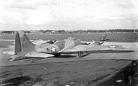 MUS980265.jpg