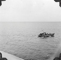ALB971531013.jpg