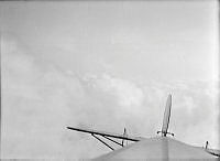 ALB8319526371.jpg