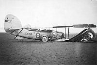 MUS110241.jpg