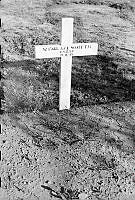 PR7838.jpg