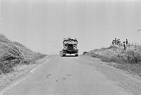 OhG4596-79.JPG