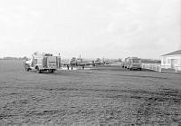 OhG3943d-21-81.jpg