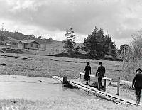 PR3371.JPG