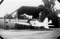 MUS1300830.jpg