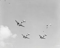 WhG3211-52_1.JPG