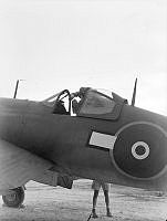 PR3411.JPG