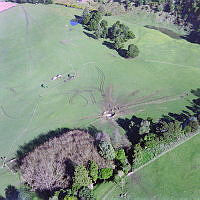 CrNZ6203C16.JPG