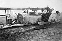 MUS110242.jpg