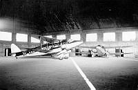 ALB971531035.jpg