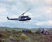 CrNZ3813JJ2.JPG