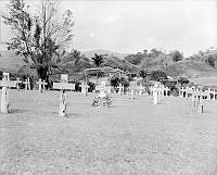 LbG192-51_1.JPG