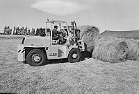 WgG492-6a-79.JPG