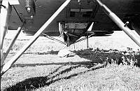 2003-128.3x.jpg