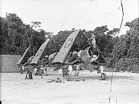 PR3245.JPG