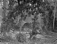 PR2310.jpg