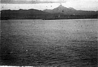 ALB971531237.jpg