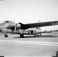 ALB971531314.jpg