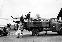 alb88125123b087.jpg