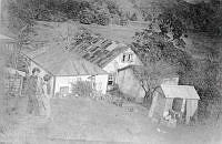 ALB2604117050.jpg