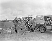 WhG7743-64.jpg