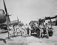 ALB13191040.jpg