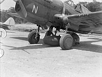 PR2693.JPG